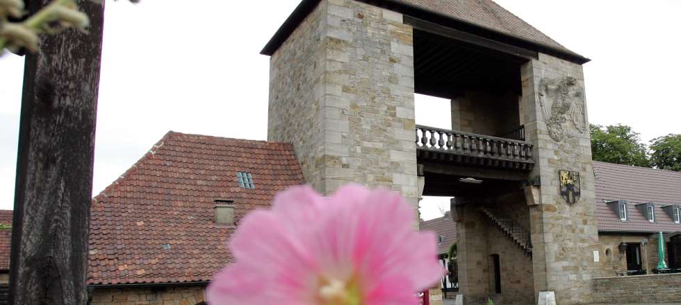 Jugendherberge Bad-Bergzabern