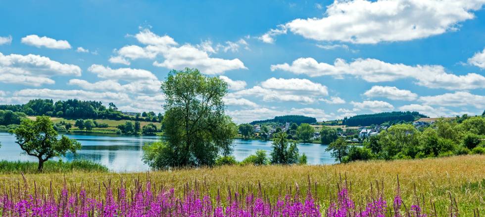 Jugendherberge Manderscheid