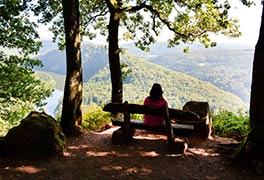 Wandern