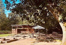 Grillplatz mit Hütte und Sitzbänken der Jugendherberge Hochspeyer