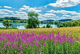 Jugendherberge Manderscheid