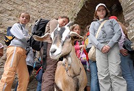 Jugendherberge Thallichtenberg