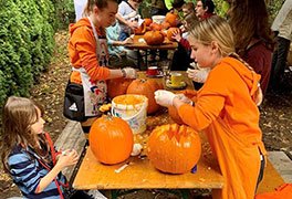 Halloweenprogramm