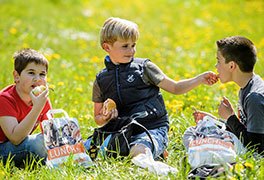 Drei Jungen sitzen auf einer Wiese und essen Brötchen und Äpfel.