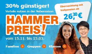 Hammer Preis 30% günstiger