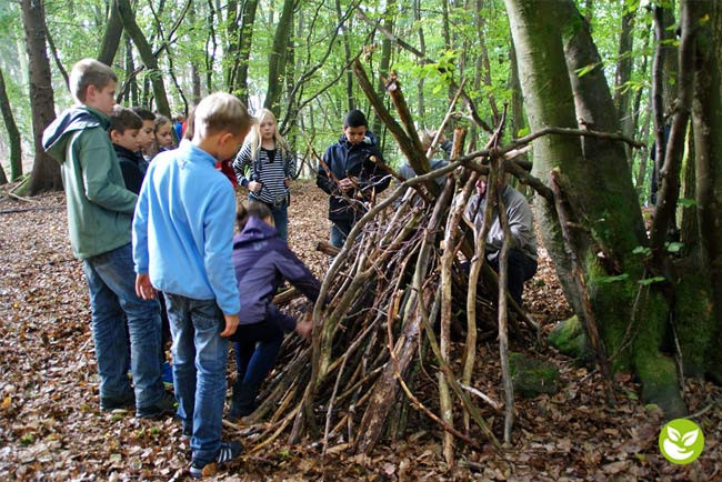 Der Wald ruft - Natur-Abenteuer mit viel Action und Spaß
