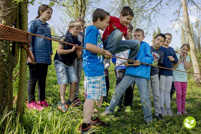 Die Meisterdetektive auf spannender Spurensuche