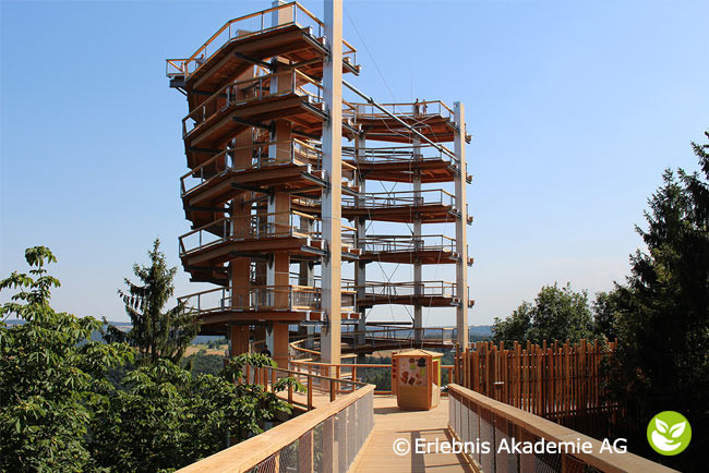 Die Saarschleife mit Burg Montclair und Baumwipfelpfad entdecken