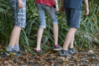 Kinder schleichen durch den Wald