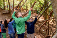 Kinder bauen eine Hütte im Wald 